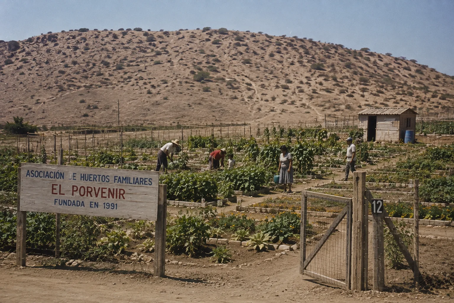 Fotos — Huertos Familiares El Porvenir 3